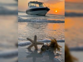 A serene sunset view featuring a starfish on the beach with a boat in the background, capturing the tranquil beauty of coastal adventures.