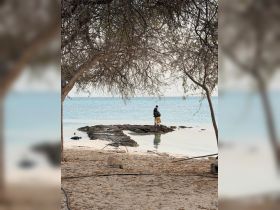 A couple stands on a rocky outcrop by the beach, enjoying the serene waters and picturesque scenery — a perfect moment for a romantic getaway.