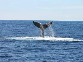 Charter Image