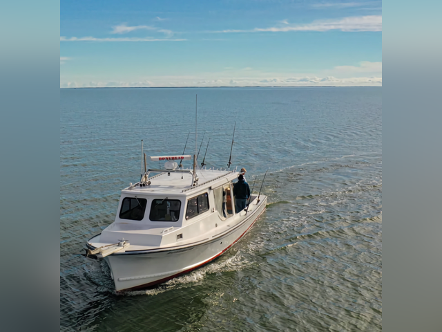 Listing image 1148509