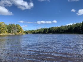 A scenic view of a river surrounded by lush greenery under a clear blue sky, ideal for nature lovers and outdoor enthusiasts.