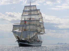 A majestic tall ship sails gracefully across the water, showcasing its impressive sails and classic design — a perfect sight for maritime enthusiasts.