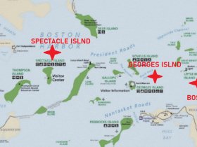 Map of Boston Harbor highlighting Spectacle Island and Georges Island, useful for navigation and planning visits to these scenic locations.