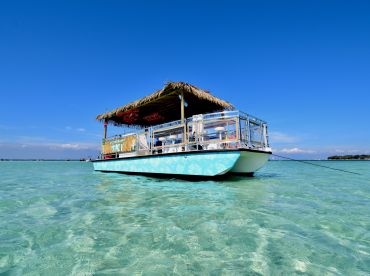 Tiki Taco Cruises