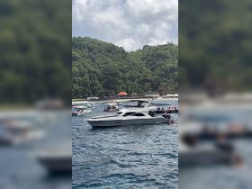 A beautiful yacht named 'Freedom' anchored in a vibrant bay, surrounded by other boats and lush greenery, perfect for a day of exploration and relaxation on the water.