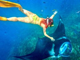 A snorkeler interacts closely with a majestic manta ray underwater, showcasing an unforgettable marine wildlife experience.