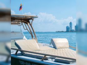 A sleek boat with comfortable seating is showcased against a vibrant blue sky and city skyline, perfect for enjoying a day on the water.