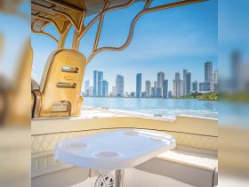 A stylish interior view of a boat featuring comfortable seating and a table, with a stunning skyline in the background — perfect for relaxing on the water.