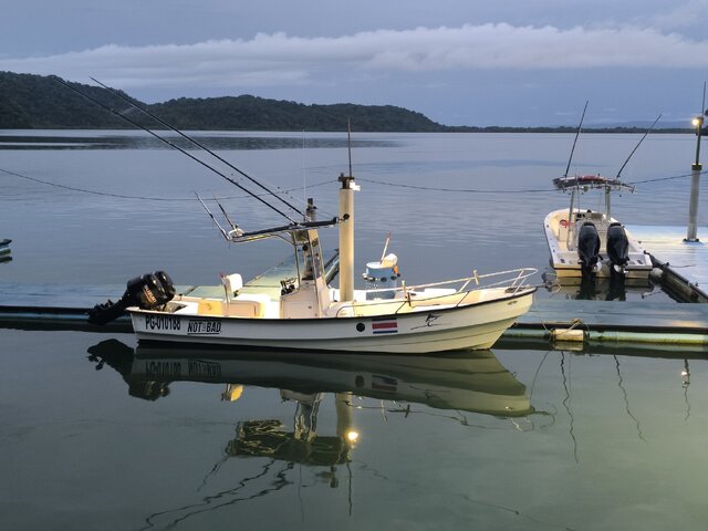 Listing image 1143812