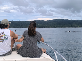 Two guests on a boat enjoy a close encounter with dolphins in the water, showcasing the beauty of wildlife in Costa Rica.