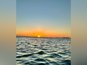 A breathtaking sunset over the ocean, with silhouettes of sailboats dotting the horizon — a perfect moment for a tranquil evening on the water.