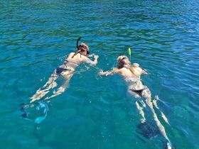 Two snorkelers explore the vibrant underwater world in crystal-clear waters, showcasing the excitement of aquatic adventures.