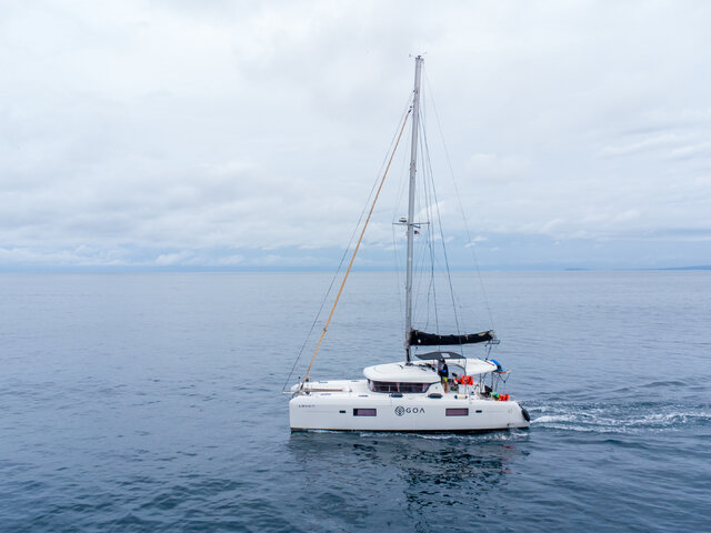 Listing image 1143846