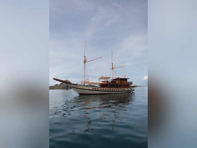 Listing image 1143886