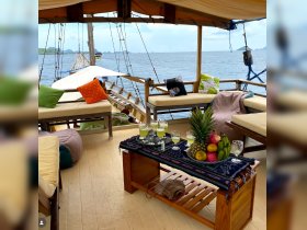A beautifully arranged table with cocktails and fresh fruits on a boat's deck, showcasing the perfect amenities for a relaxing day on the water.
