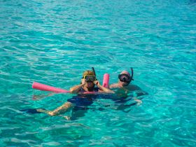 A couple enjoys snorkeling in crystal-clear waters, showcasing the vibrant marine life and perfect conditions for underwater exploration.