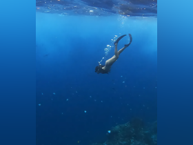 A snorkeler explores the vibrant underwater world, surrounded by colorful fish in crystal-clear waters — a perfect highlight of marine adventures.