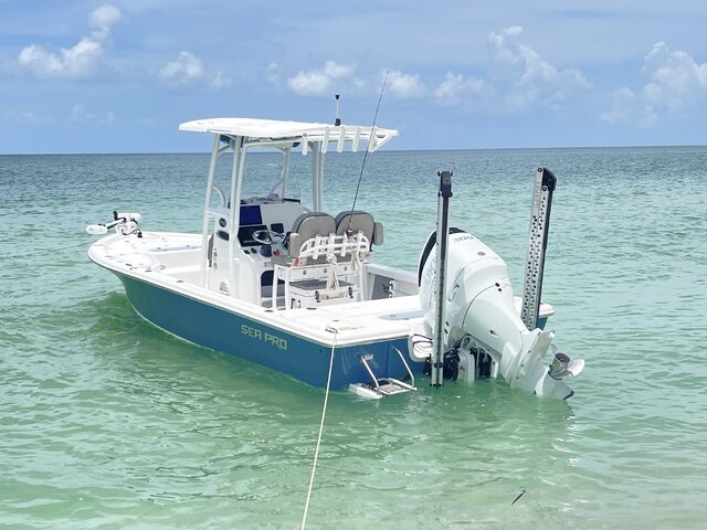 Listing image 1144090