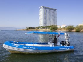 A speedboat named 'Prince of Whales' is docked in Puerto Vallarta, showcasing the vibrant marine life and scenic views of the area.