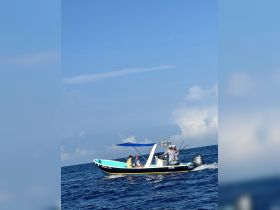 A group of friends enjoys a fishing trip on a vibrant boat, navigating the open ocean under a clear blue sky.