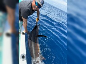 A fisherman proudly displays his catch, a marlin, while out on the open ocean — a thrilling moment for any angler.