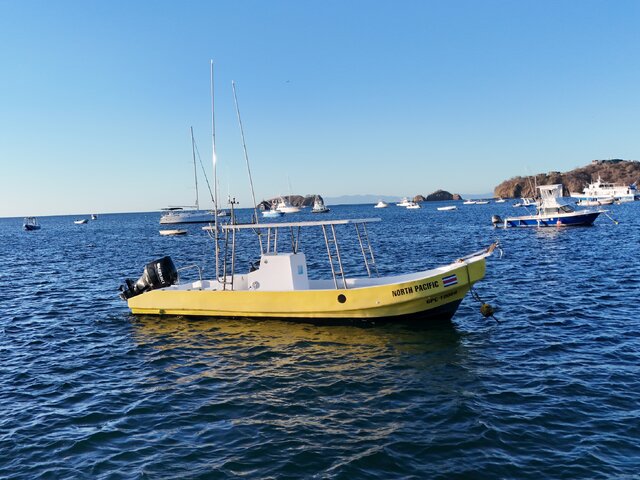 Listing image 1144203