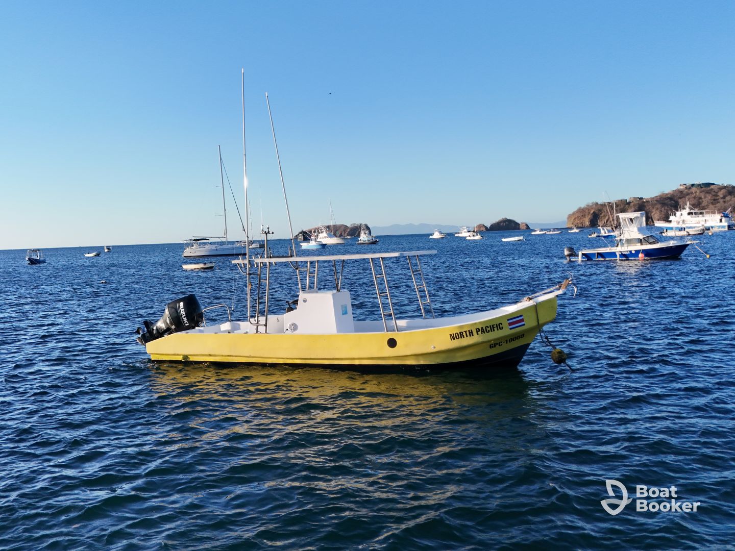 Sea Snake Adventures
