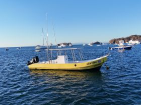 A vibrant yellow fishing boat named 'North Pacific' anchored in calm waters, surrounded by other vessels, showcasing a serene maritime scene.