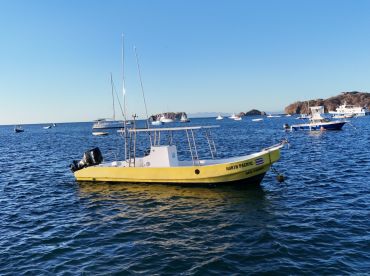 Sea Snake Adventures