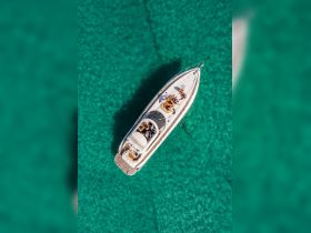 Aerial view of a lively group enjoying their time aboard a boat in stunning turquoise waters, perfect for summer adventures and memorable outings.