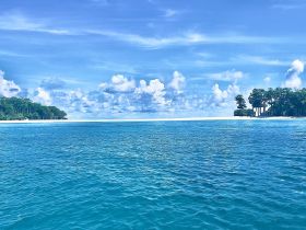 A stunning view of turquoise waters and a lush coastline under a bright blue sky, perfect for showcasing the beauty of tropical destinations.