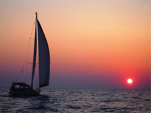 Listing image 1144546