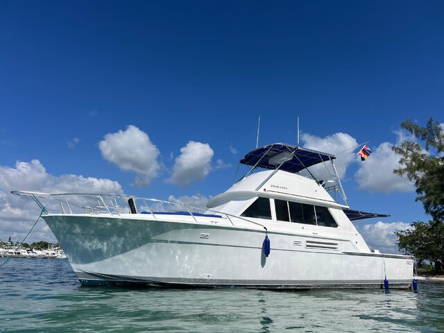 Listing image 1144582