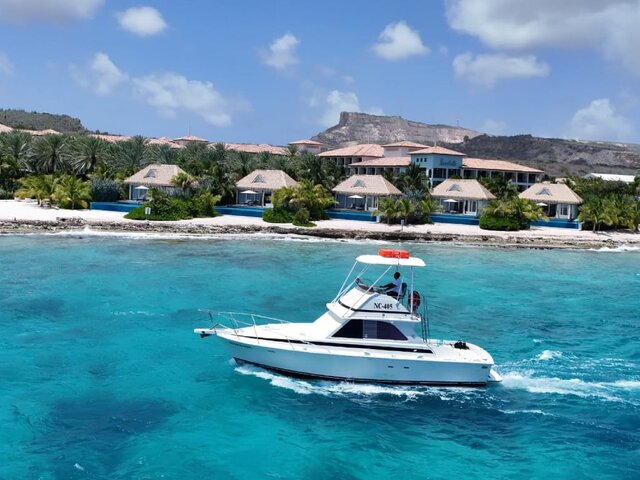 Listing image 1146498