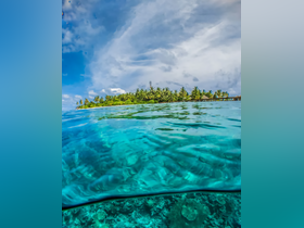 A stunning underwater view showcasing vibrant coral and clear turquoise waters, with a picturesque island in the background — perfect for snorkeling and exploring marine life.