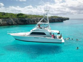 A lively group enjoys swimming around a boat in stunning turquoise waters, capturing the essence of a perfect day on the water.