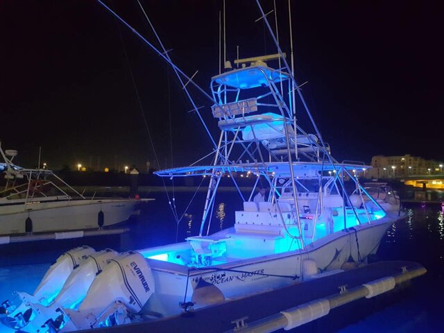 Listing image 1144846