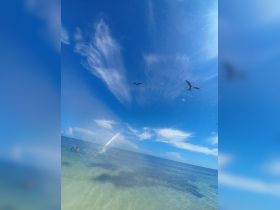A scenic view of the sky and ocean with some people visible in the water, but the image lacks clarity and focus.