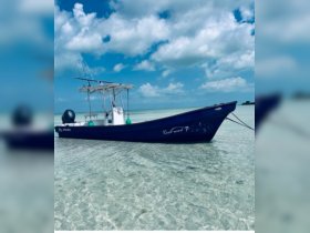 A striking view of a blue boat anchored in shallow, clear waters, showcasing its sleek hull against a backdrop of a bright sky — perfect for fishing or leisure trips.