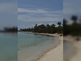 A serene view of a pristine beach with clear waters and lush palm trees, perfect for a relaxing getaway or island exploration.