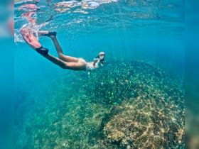 A snorkeler explores vibrant underwater life, surrounded by schools of fish in crystal-clear waters — a perfect adventure for marine enthusiasts.