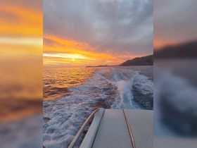 A stunning sunset view from the bow of a boat, showcasing vibrant colors reflecting on the water as it cruises along the coastline.