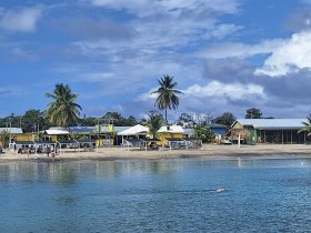 A serene beach scene featuring a swimmer in clear waters, framed by palm trees and colorful beachside structures — a perfect destination for relaxation and water activities.