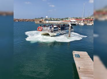 Vibes Beach Bar – Daddy's Girl Boat Tours