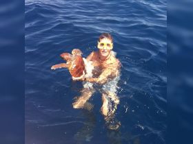 Charter Image