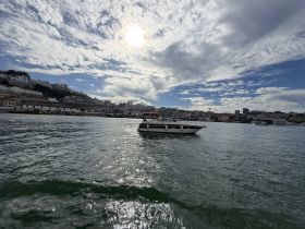 A sleek speedboat navigates through calm waters, showcasing the vibrant harbor scenery under a partly cloudy sky.