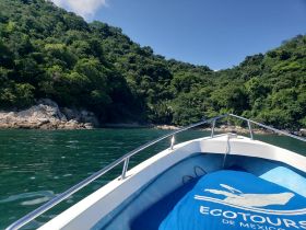 A scenic view from the bow of a boat navigating through lush green coastal landscapes, showcasing the beauty of nature while enjoying a day on the water.