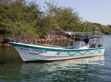 Ecotours Vallarta – Prince of Whales II