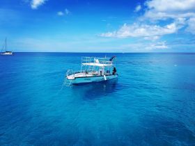 A vibrant boat navigates through crystal-clear waters, showcasing the beauty of the ocean and the excitement of a day on the water.