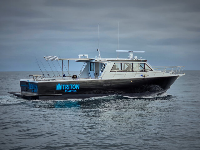 Listing image 1145494